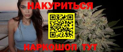 сатива Краснодар