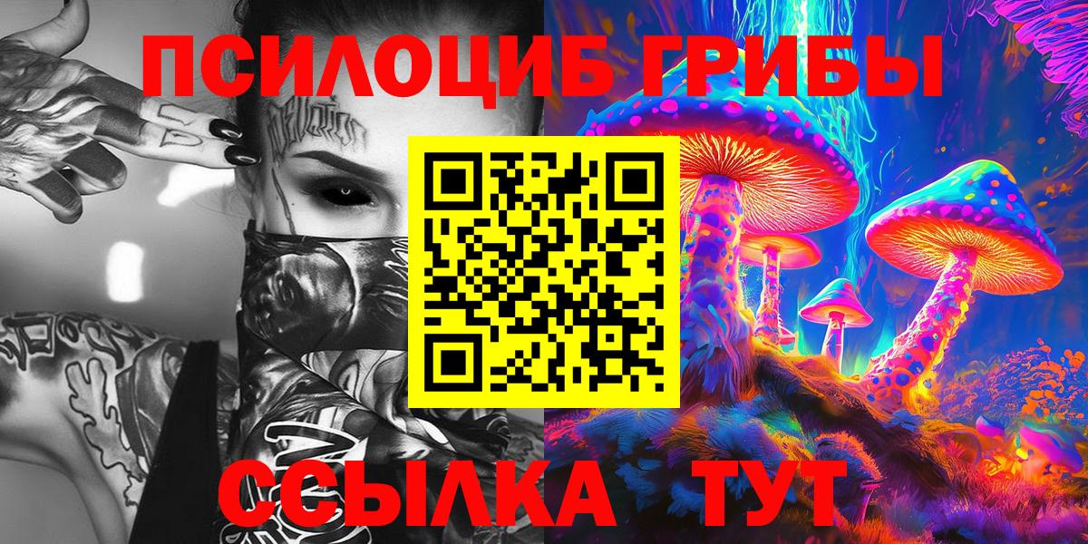 Галлюциногенные грибы Cubensis  Вход с VPN  Юрга 