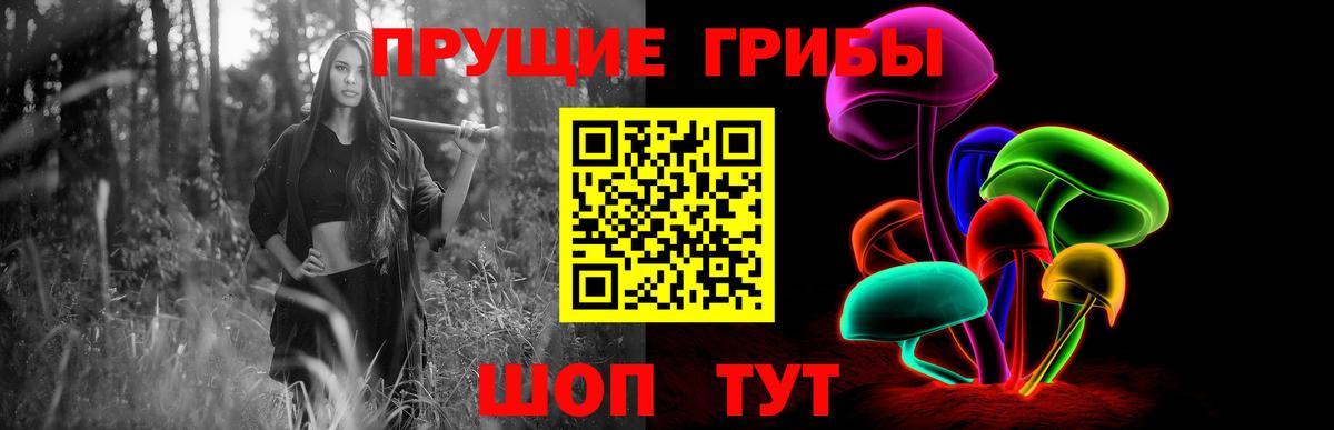 Псилоцибиновые грибы GOLDEN TEACHER Юрга
